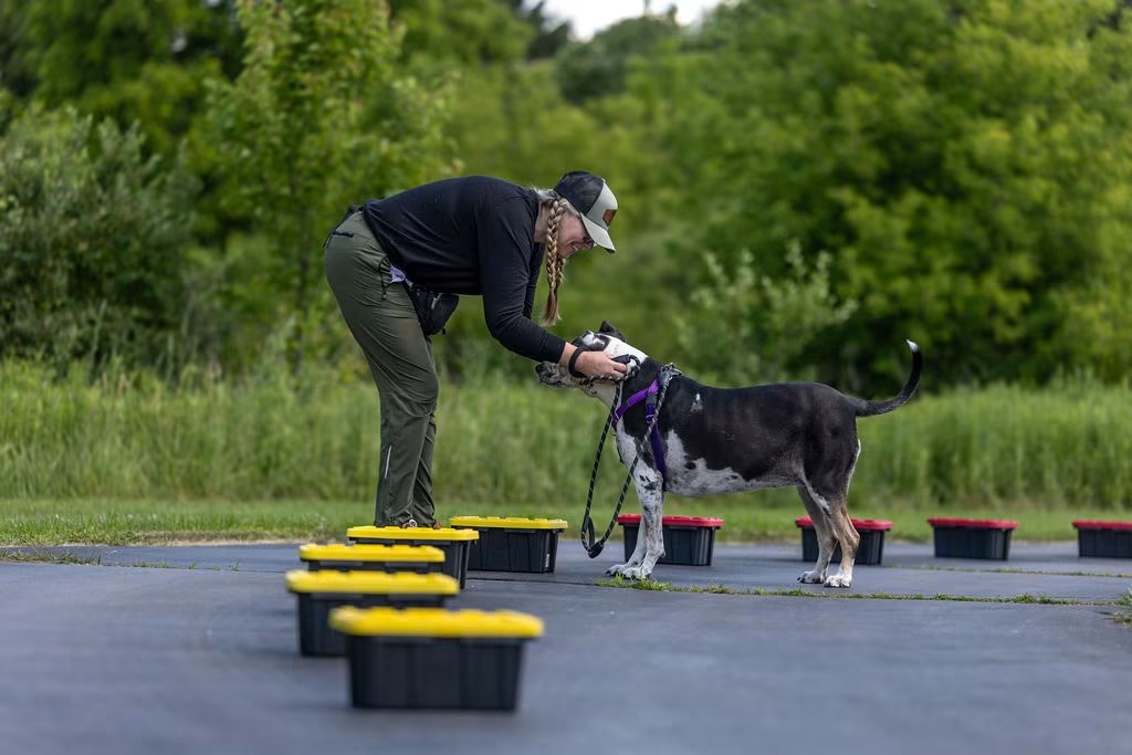 Mindful K9 Training — dog trainer in Ann Arbor, MI