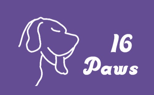 16 Paws LLC logo
