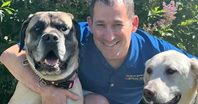 Bark Busters Home Dog Training Richmond