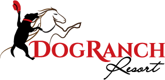 Dog Ranch Resort