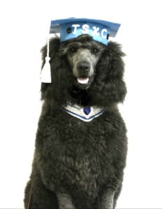 Tri-State Kennel Club