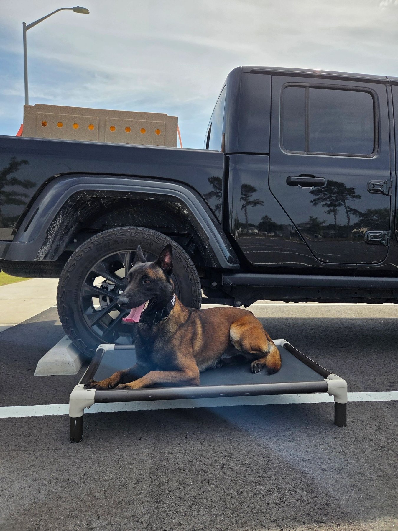 CRYSTAL COAST CANINE TRAINING LLC