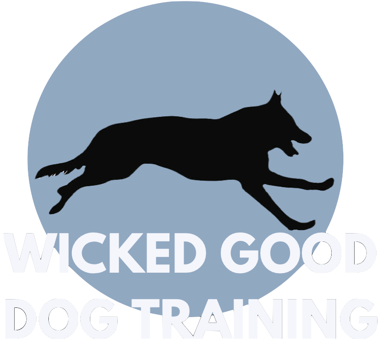 Wicked Good Dog Training
