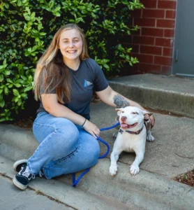 The Dog Wizard – Dog & Puppy Obedience Training Gastonia