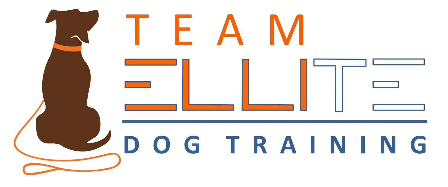 Team Ellite Dog Training