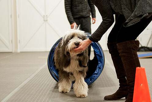 PAWS Chicago Training Center