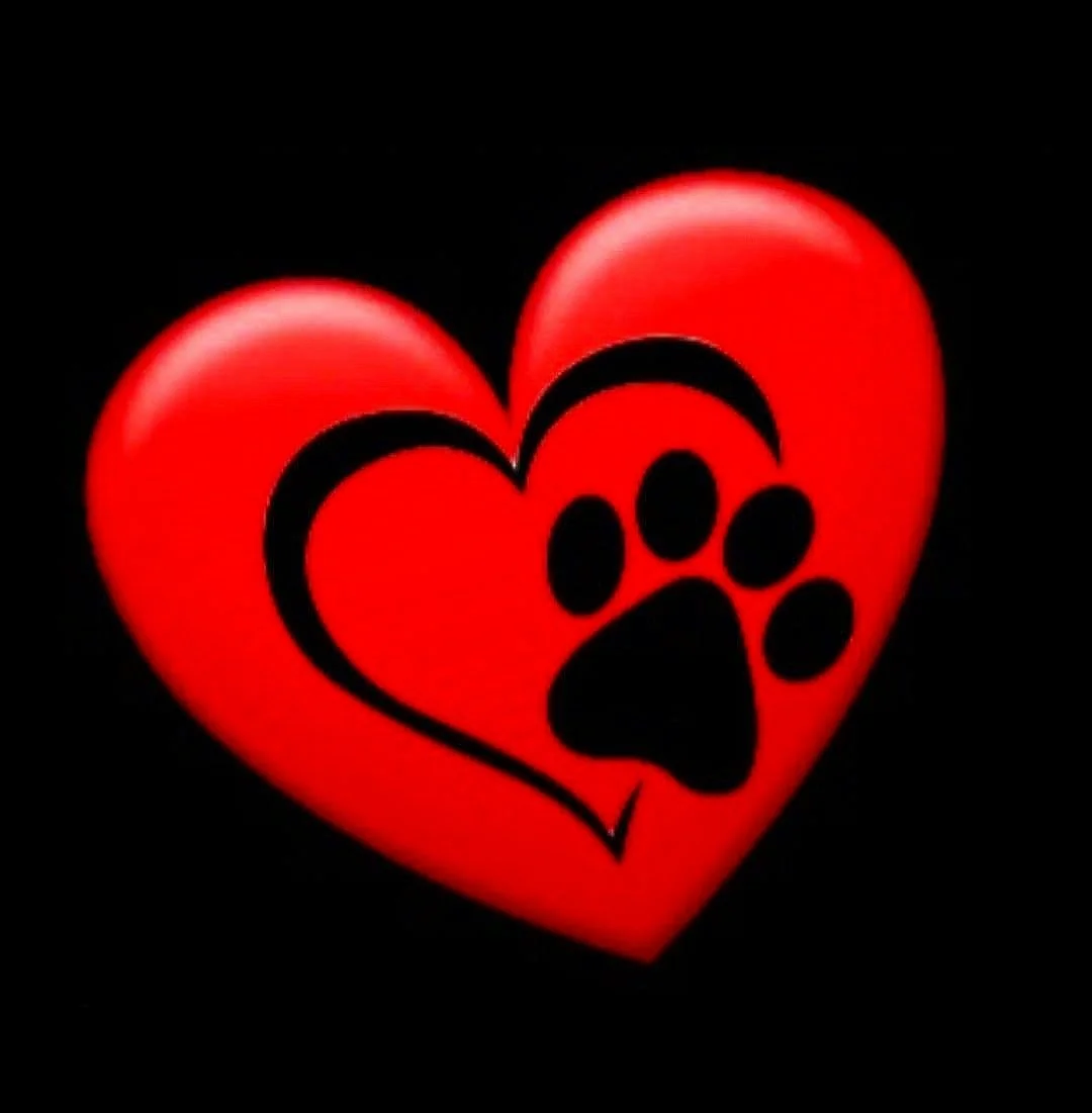 K9 Pawsitive Solutions, LLC logo