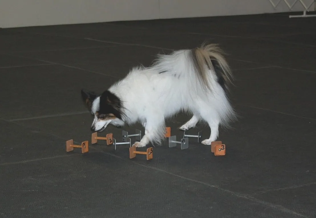 Colonial K-9