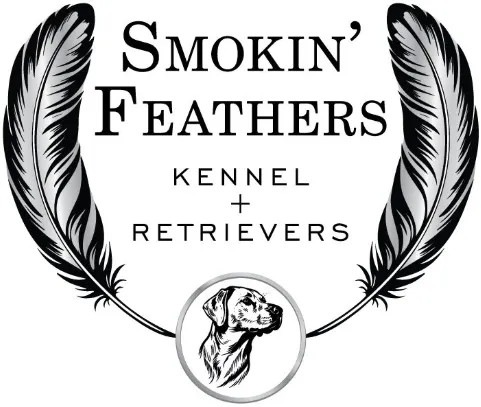Smokin’ Feathers Kennel and Retrievers logo