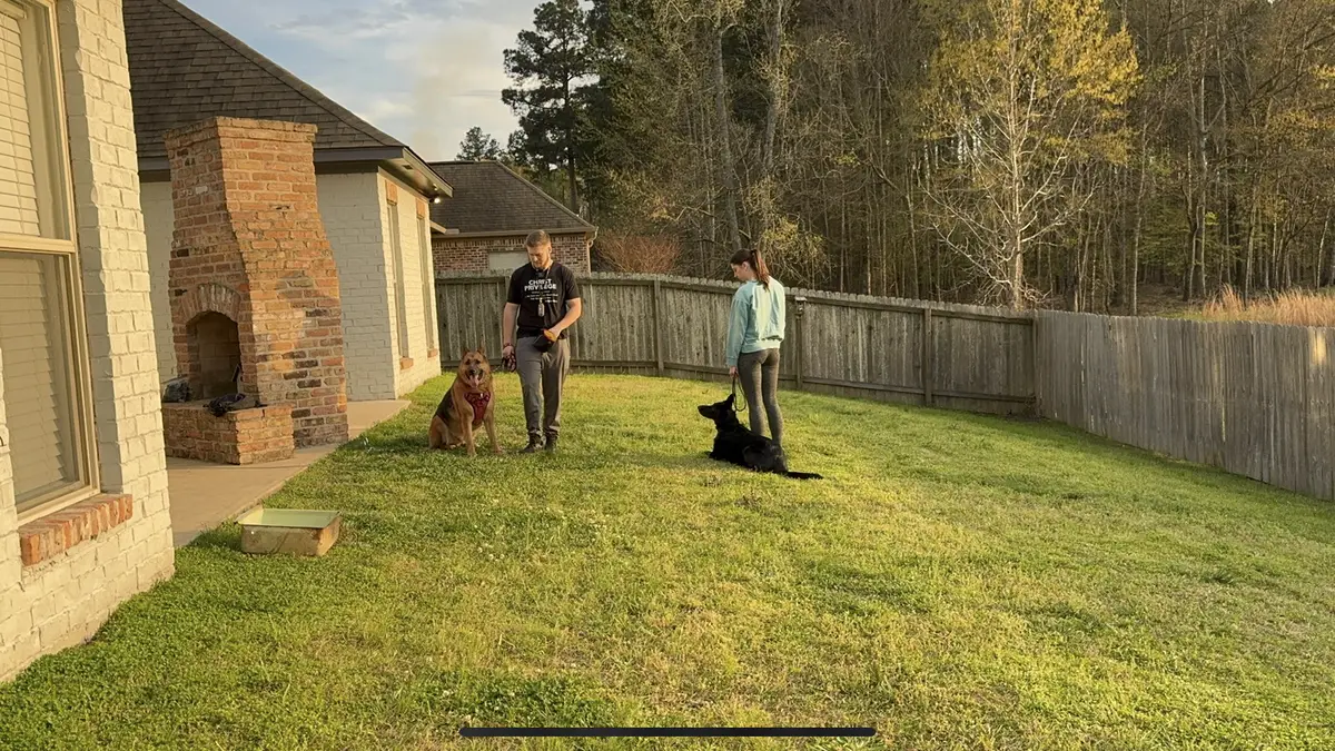 Clark’s Canine Training