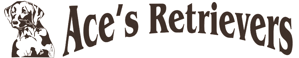 Ace’s Gun Dog Kennels/Ace’s Retrievers logo