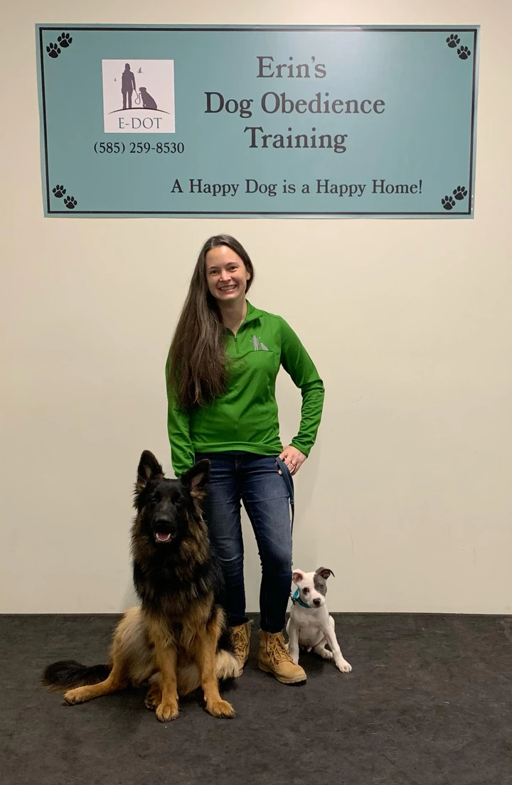 E-DOT LLC — dog trainer in Rochester, NY