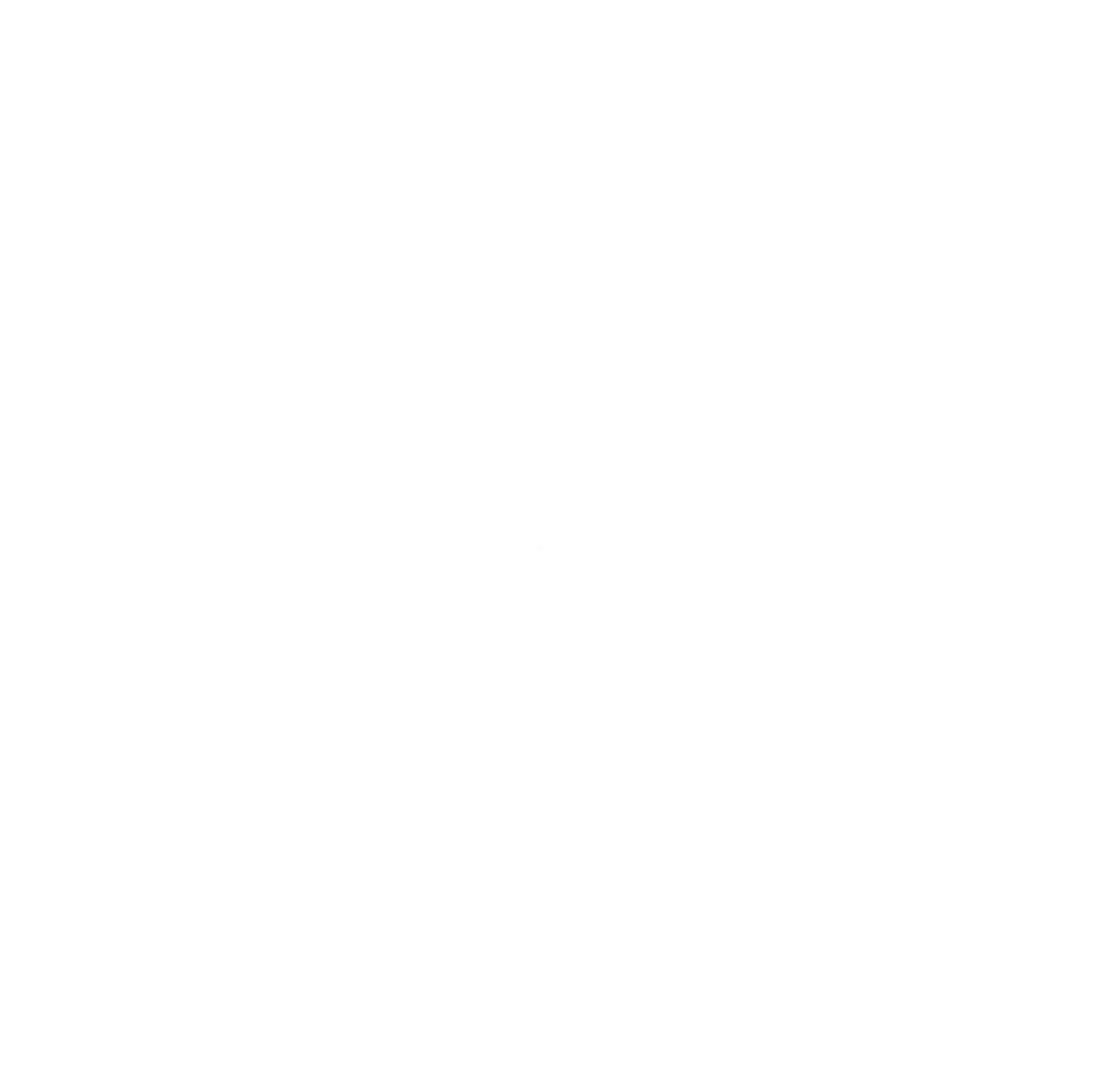 Diamond Bird Dogs