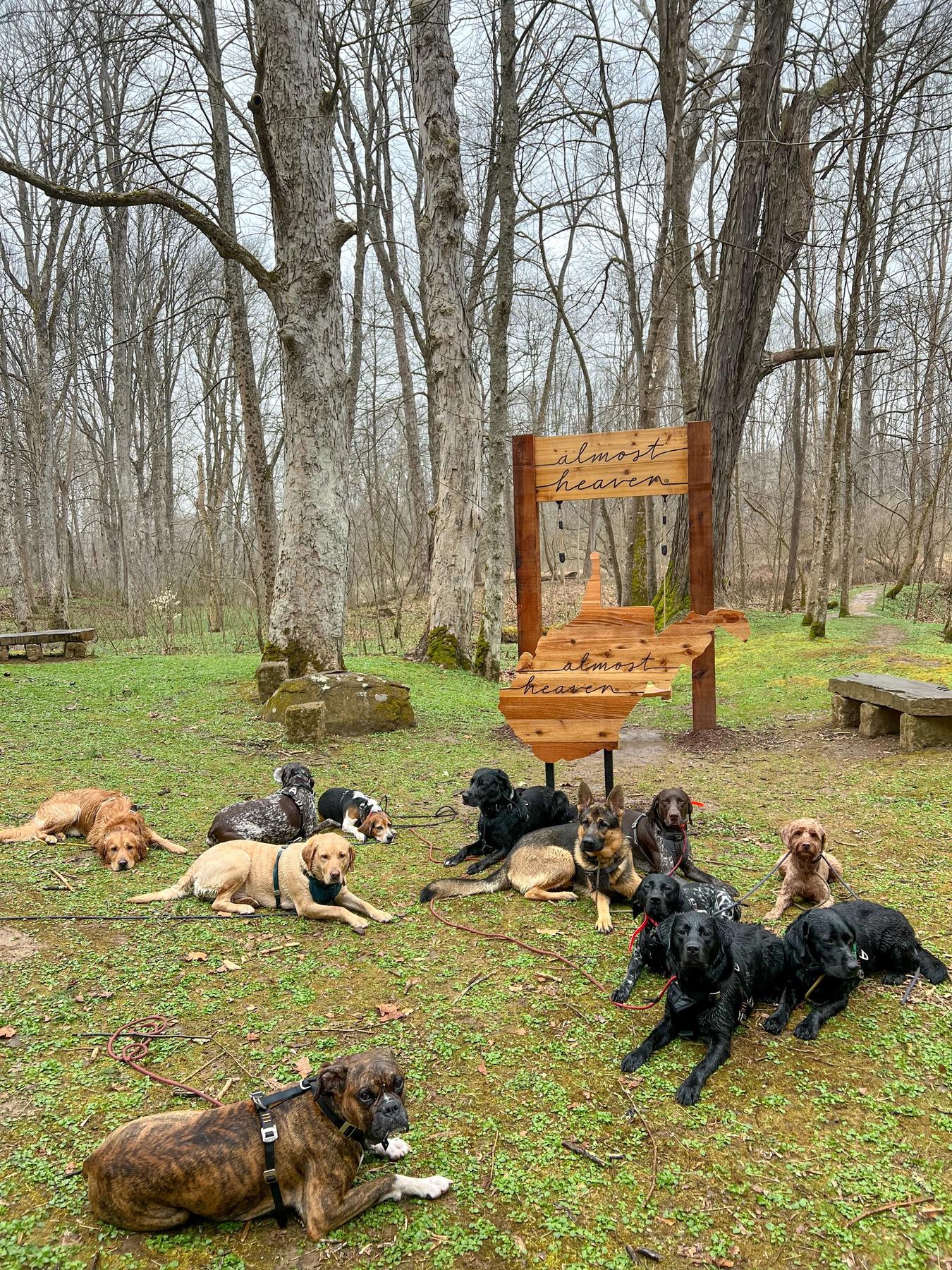 barkbarn — dog trainer in Morgantown, WV