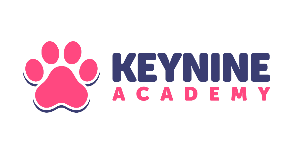 Keynine Academy logo