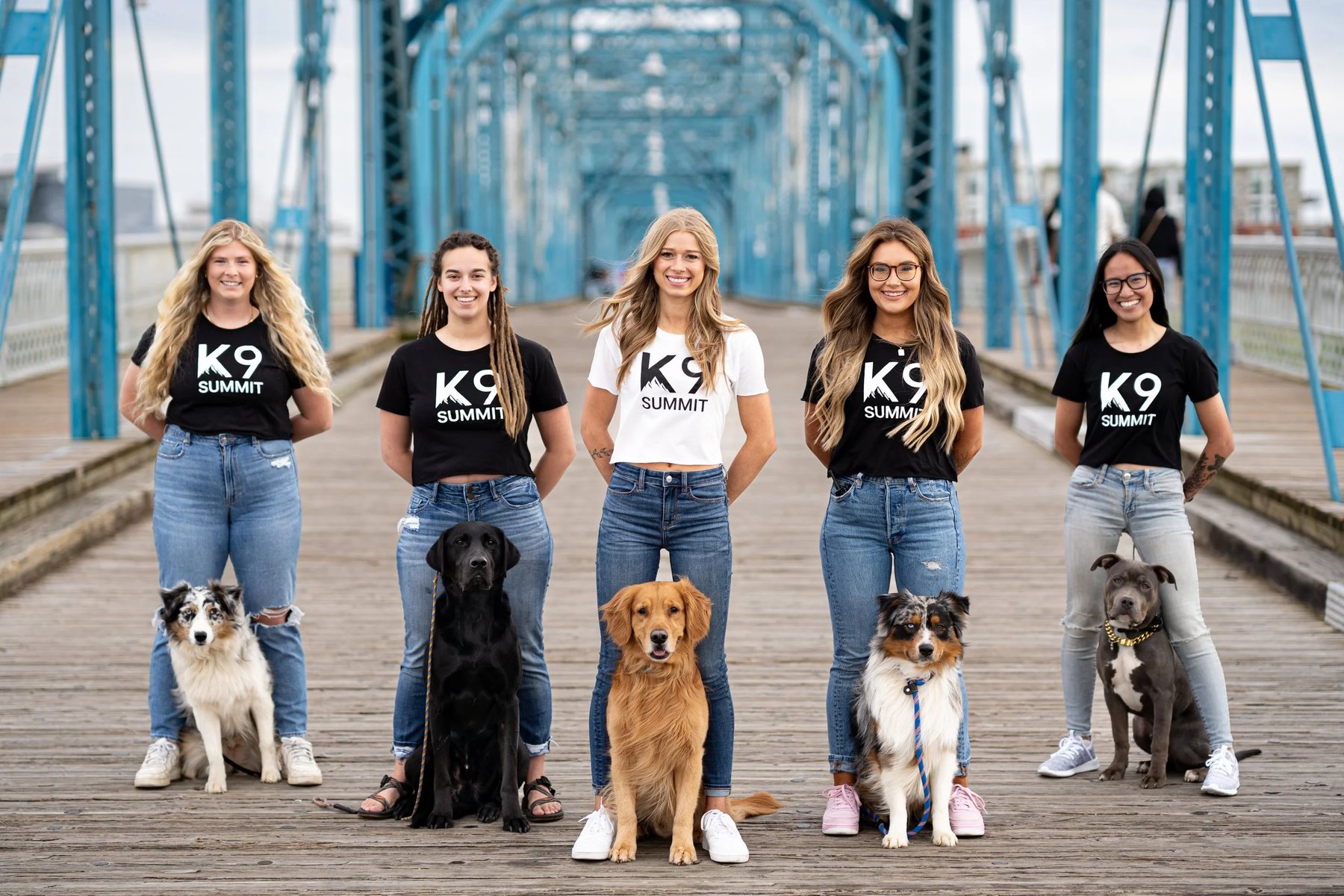 K9 Summit Training Inc. — dog trainer in Chattanooga, TN