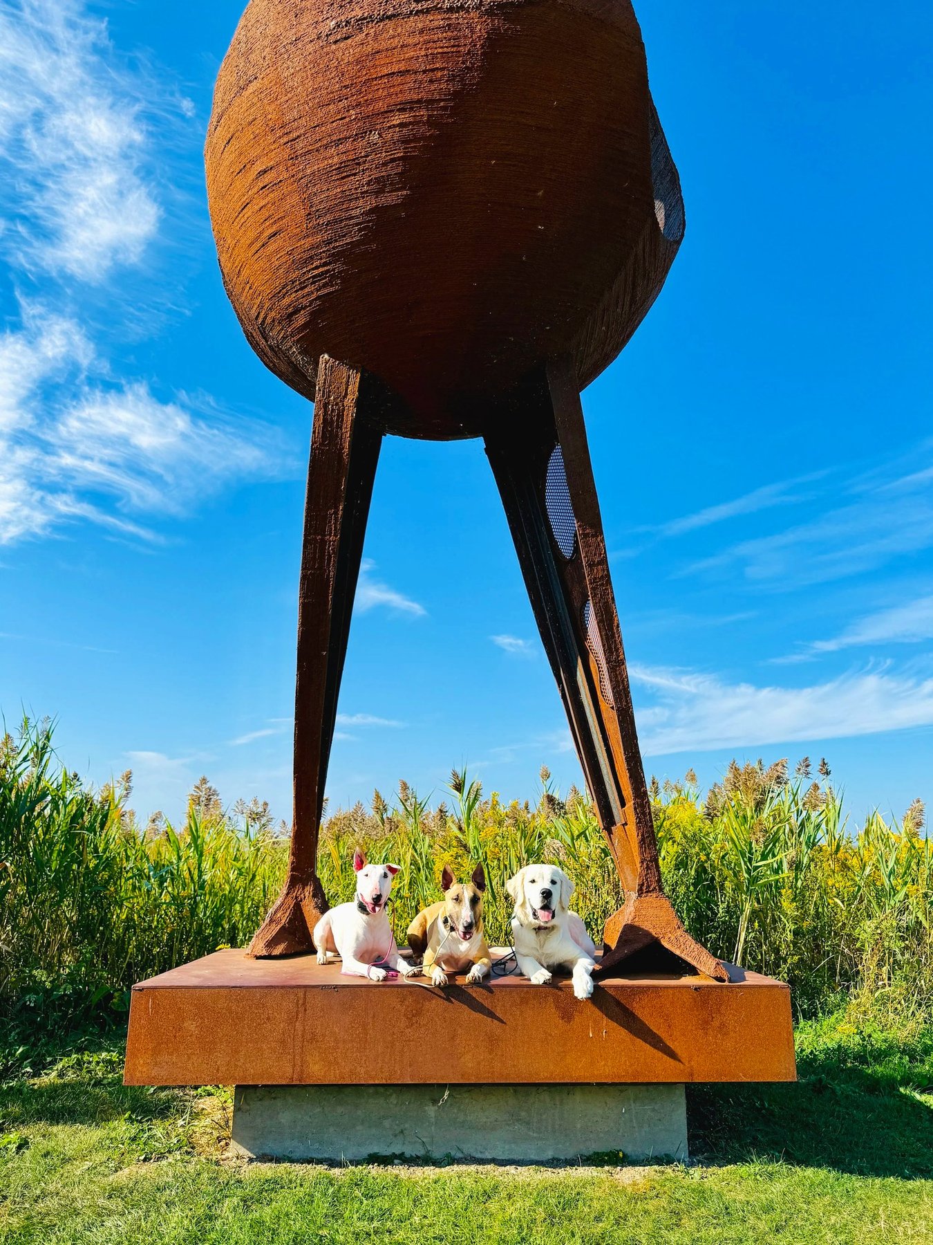 The Happy Hound Behavior and Obedience