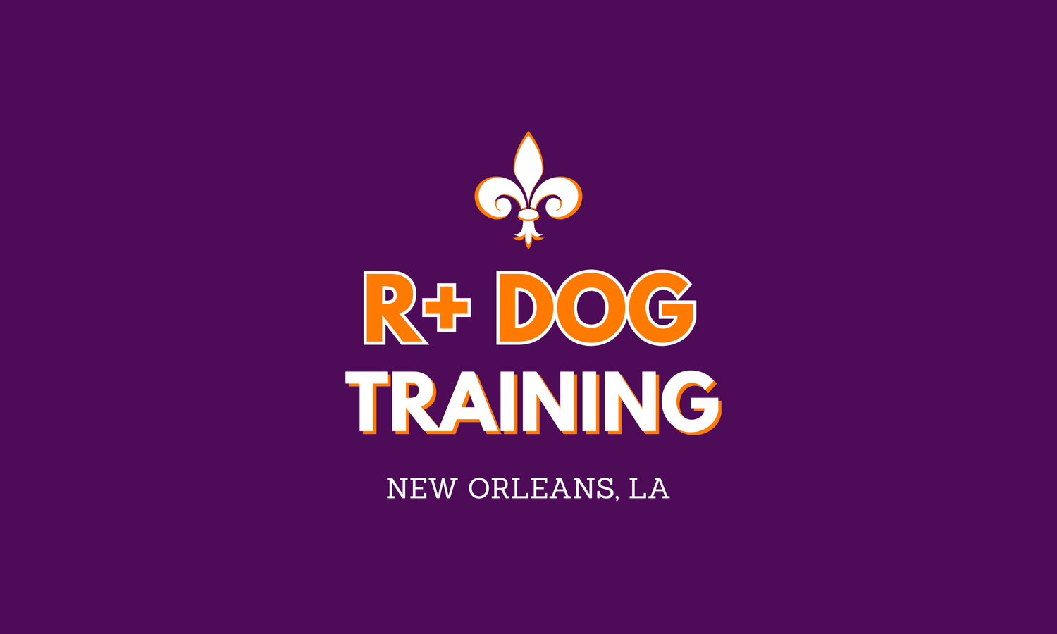 R+ Dog — dog trainer in New Orleans, LA