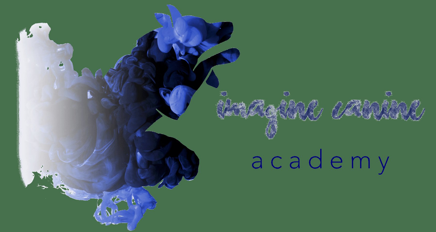 Imagine Canine Academy logo