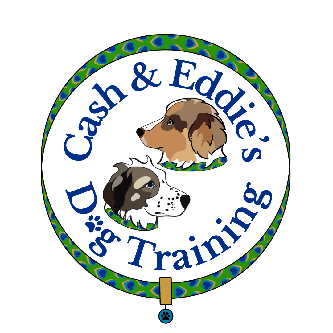 Cash & Eddie’s Dog Training