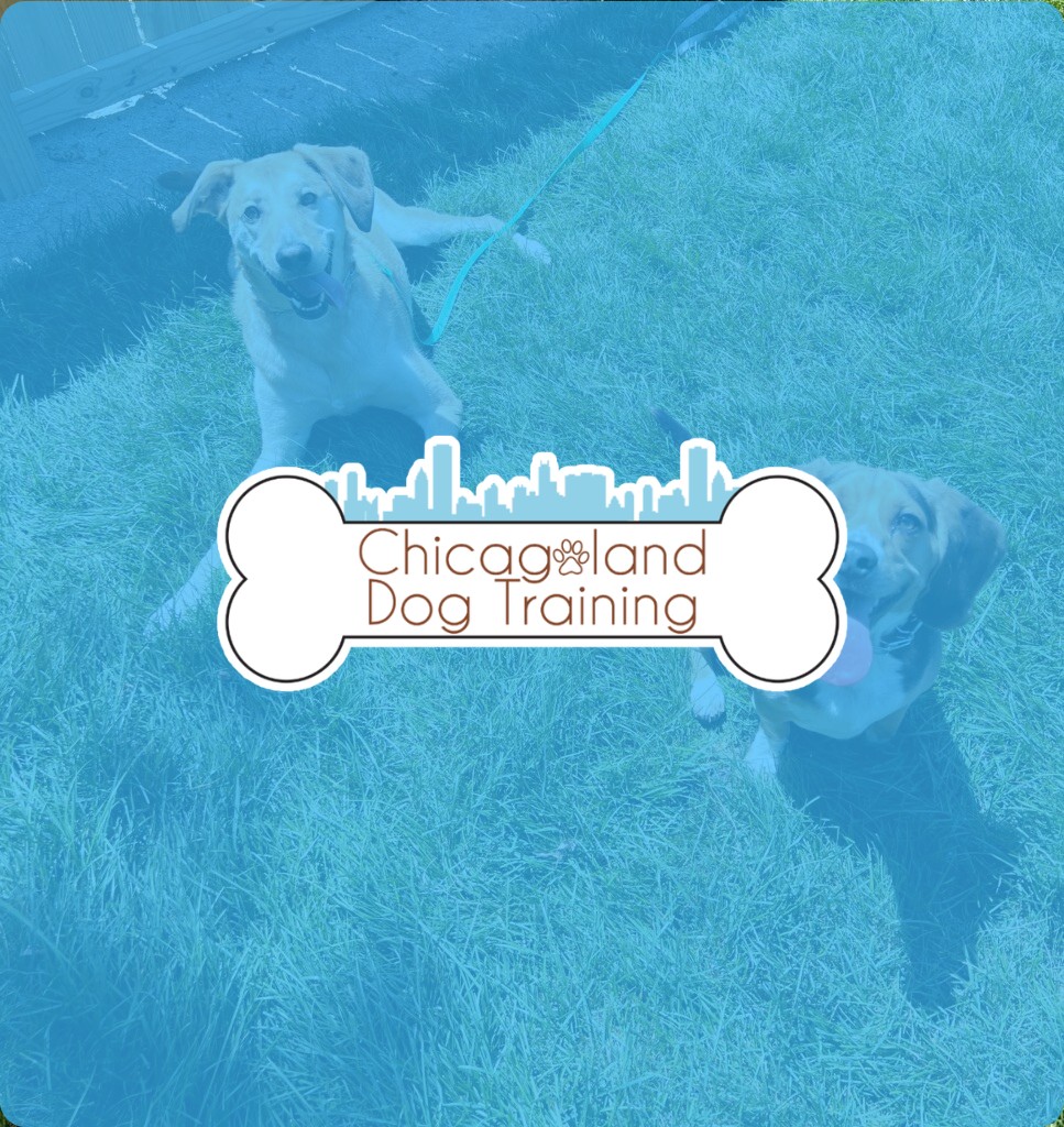 ChicagoLand Dog Training