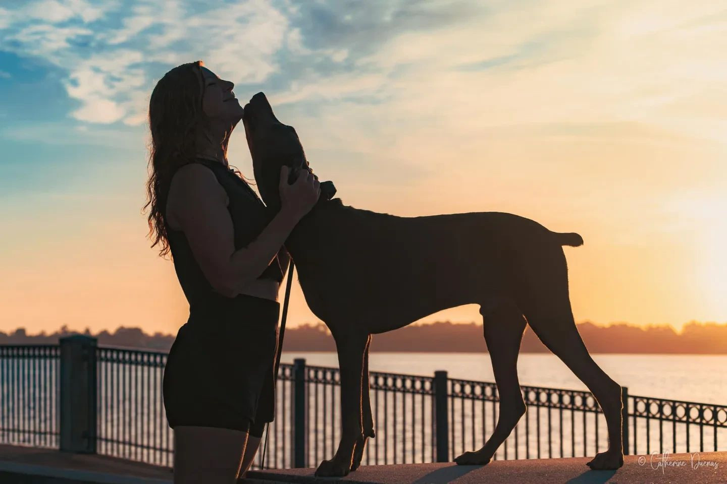 K9 Reflection