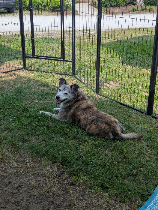 Fur Keepers Pet Services & Training