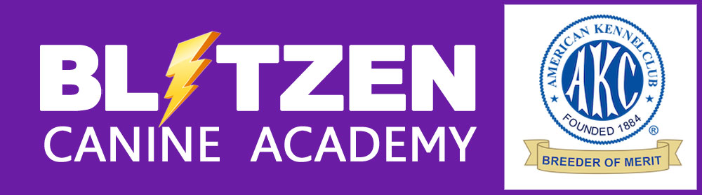 Blitzen Canine Academy Inc logo