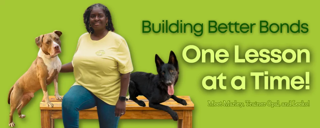 OPAWz Dog Training LLC