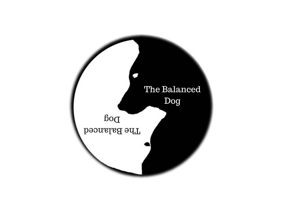 The Balanced Dog