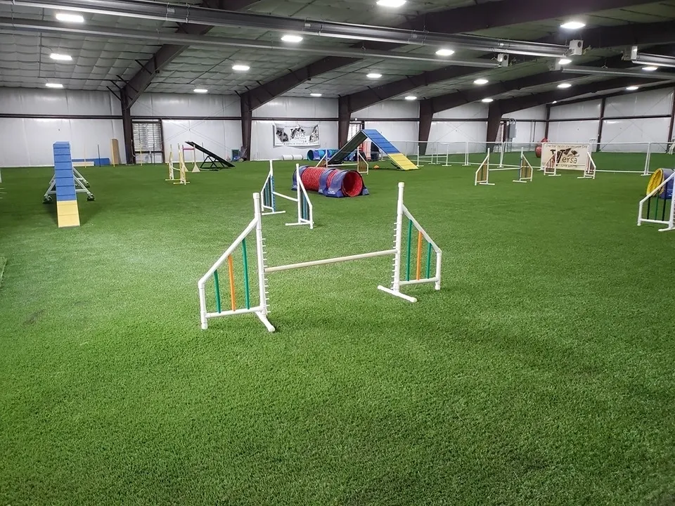 Versa Dog Sports Training — dog trainer in Layton, UT