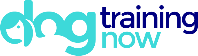 Dog Training Now logo