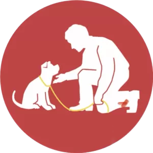 Better Dog Training logo