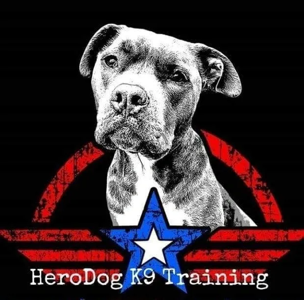 Herodog K9 training logo