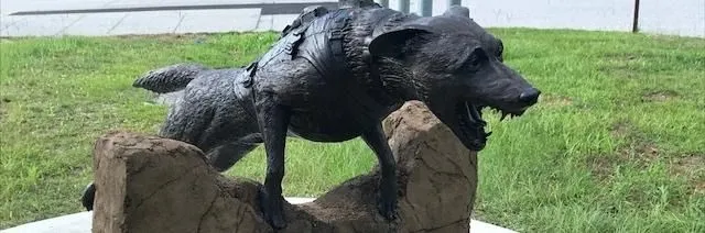 Von Klein Stein Working Dogs