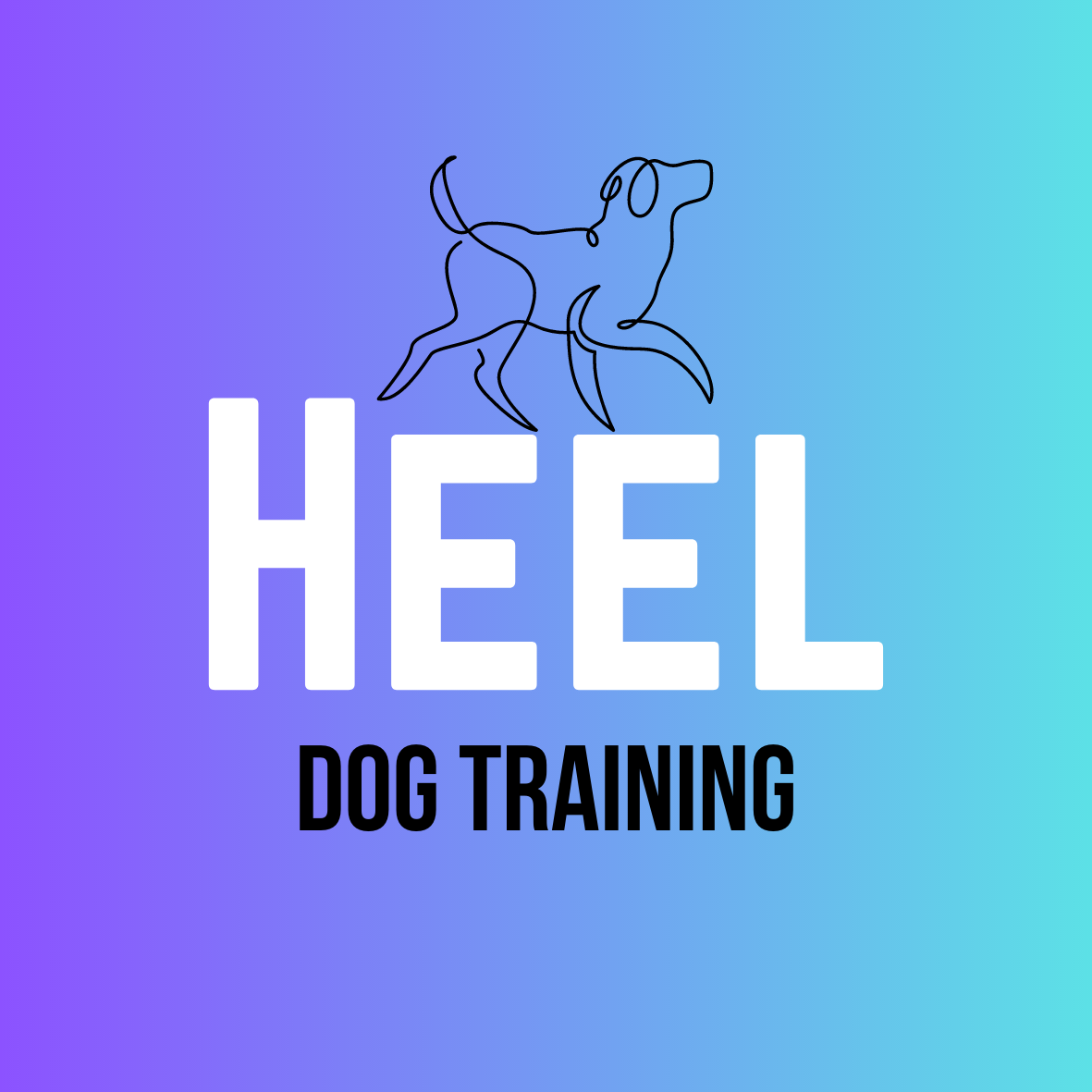 Heel dog training
