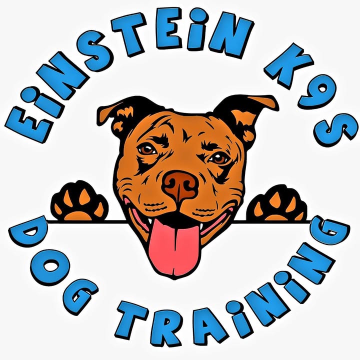 Deridder Einstein K9s