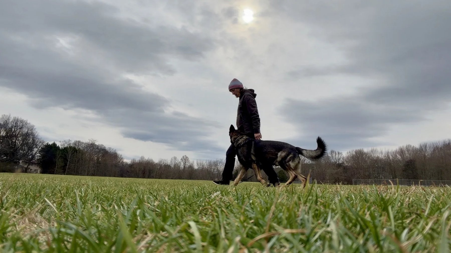 Peak Play Dog Training