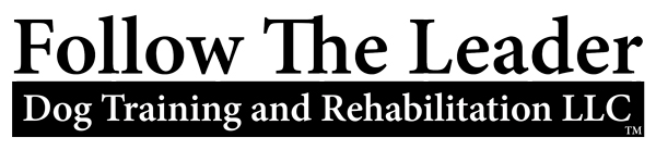 Follow The Leader Dog Training and Rehabilitation LLC logo