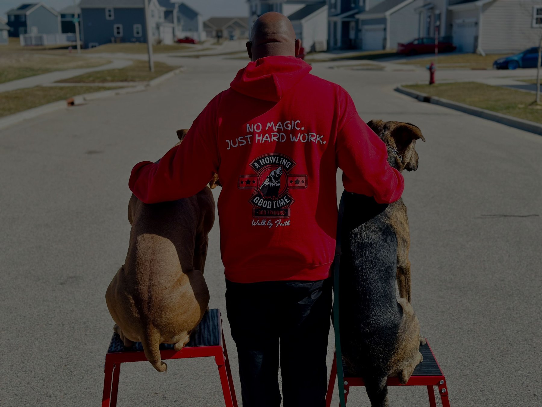 A Howling Good Time Dog Training LLC