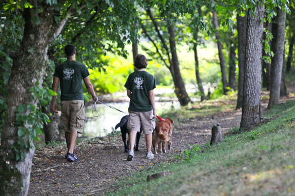 The Farm At Natchez Trace