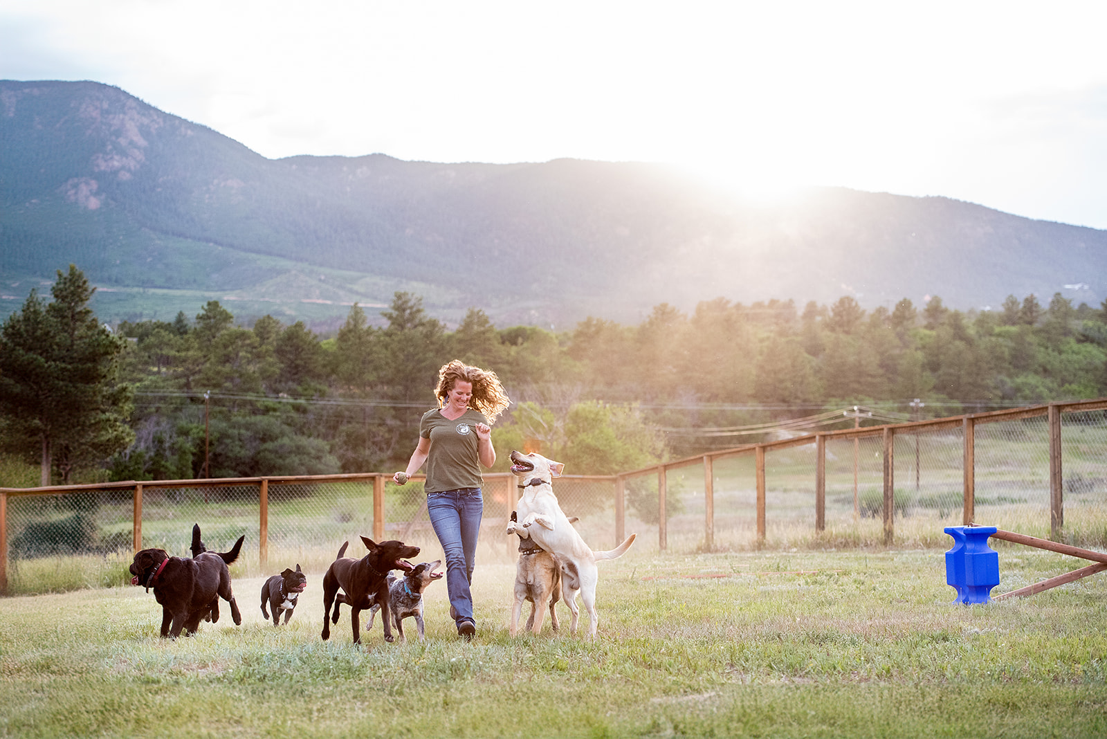 Fusion Dog Training — dog trainer in Colorado Springs, CO