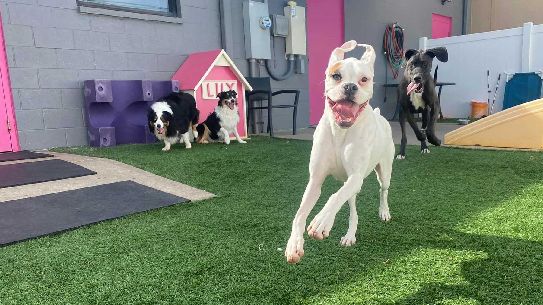 Lily’s Play-N-Stay