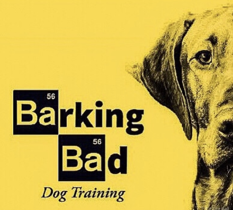 Barking Bad Desert Dog — dog trainer in Tucson, AZ