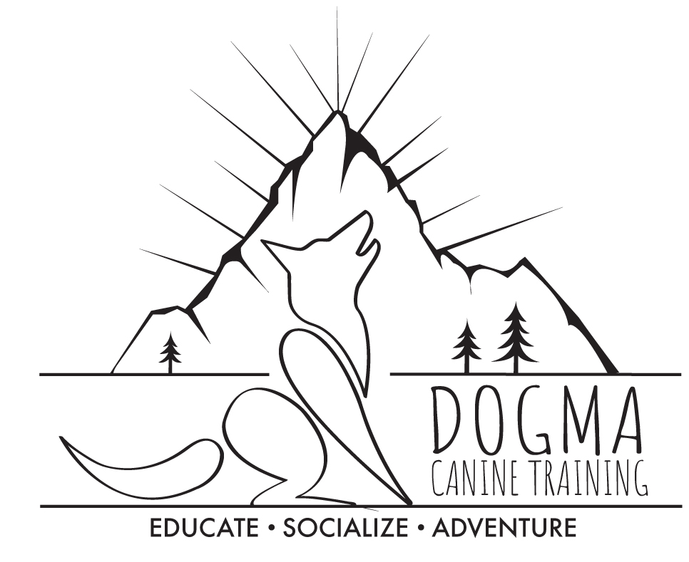 Dogma Canine Training