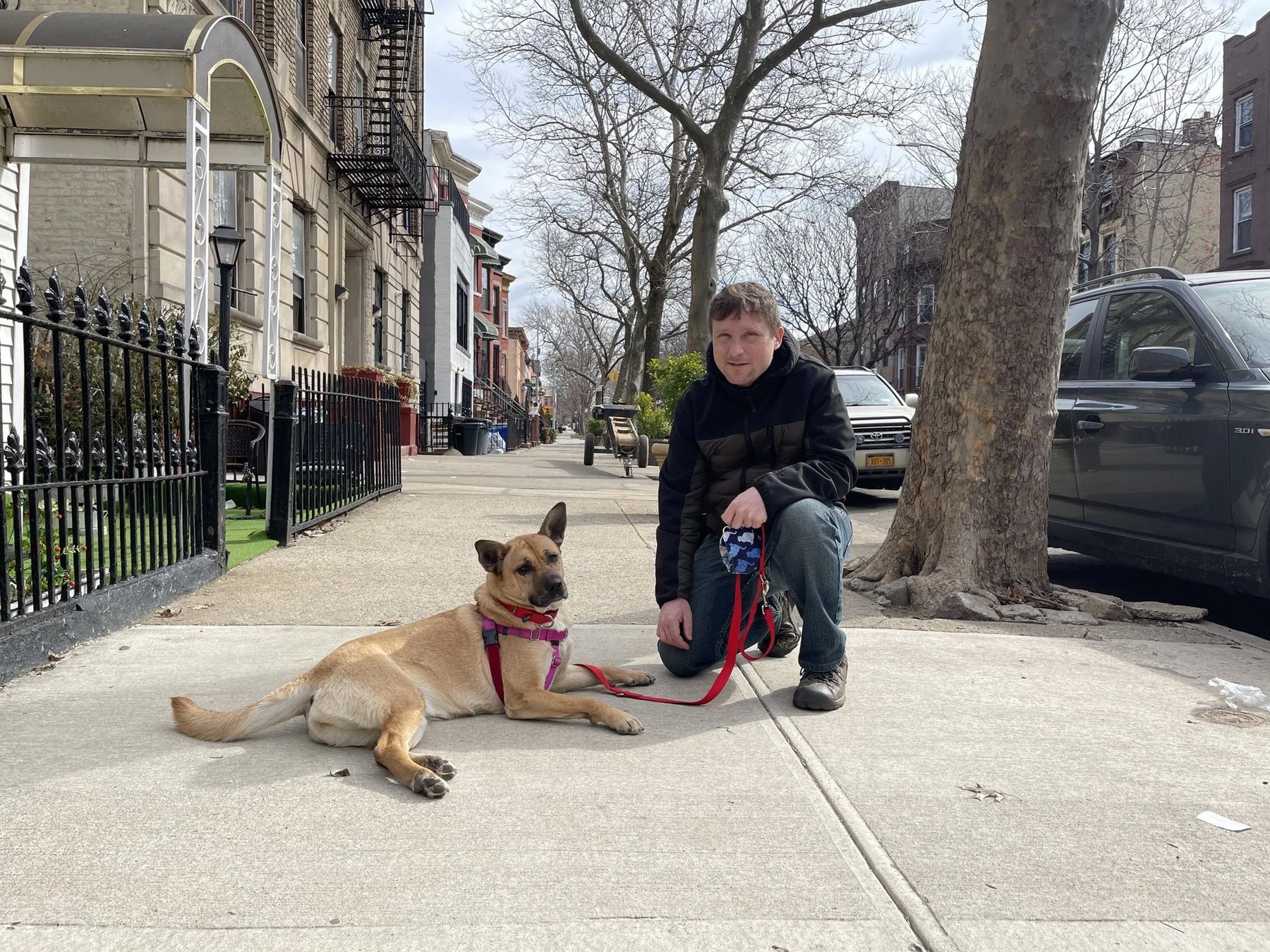 Mike Preis Dog Training