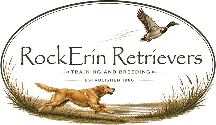 RockErin Kennels & Retrievers logo