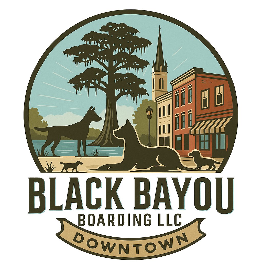 Black Bayou Boarding Downtown logo