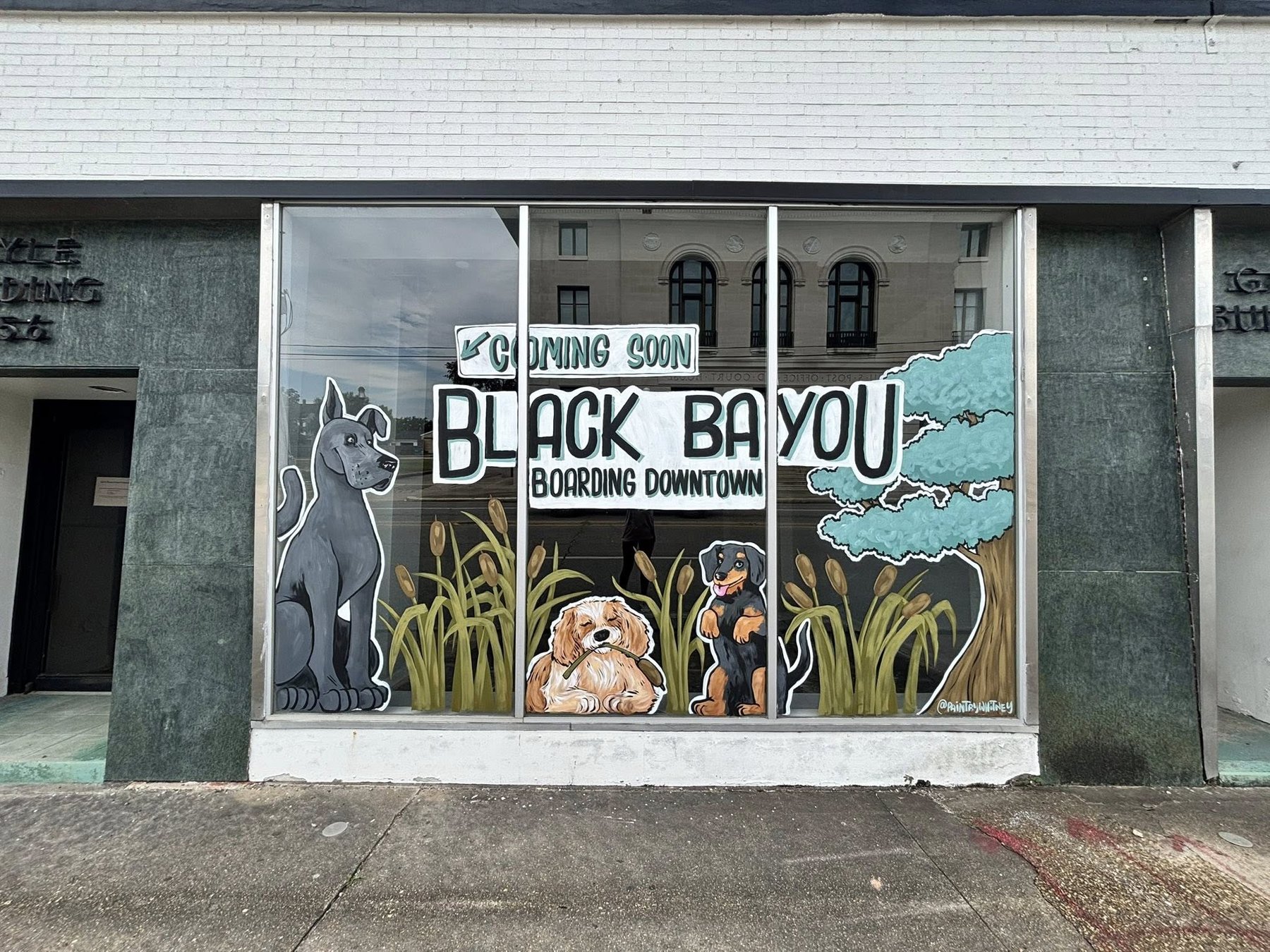 Black Bayou Boarding Downtown