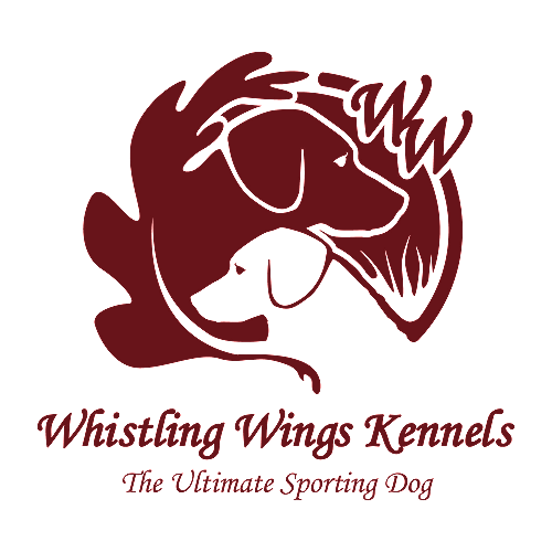 Whistling Wings Kennels
